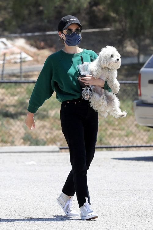 Lucy Hale and her Puppy Elvis at a Dog Park in Studio City 2020/06/04 7