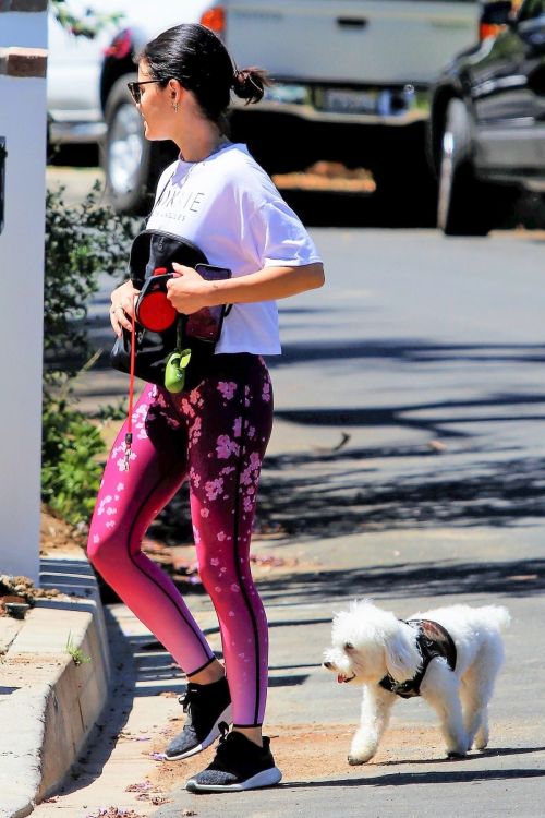 Lucy Hale Out with Elvis in Studio City 2020/06/07 1