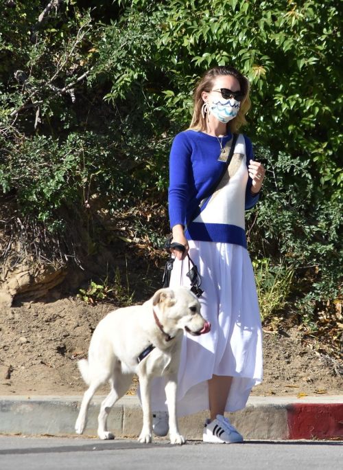 Olivia Wilde Out with Her Dog in Los Angeles 2020/06/07 7