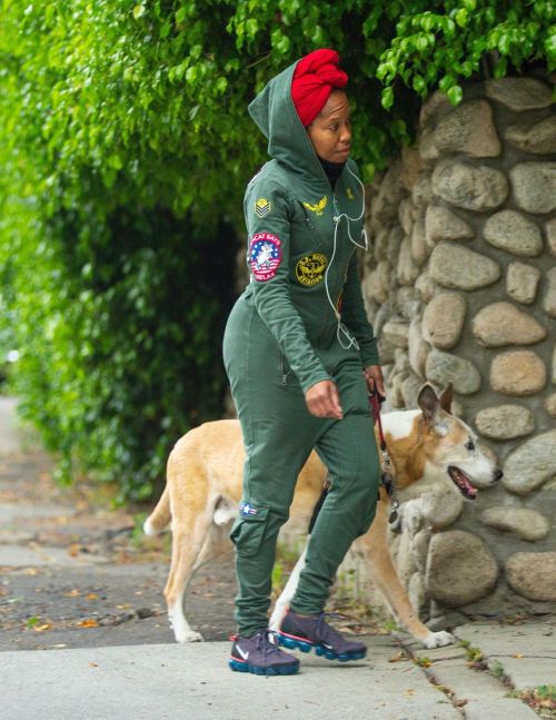 Regina King Out with Her Dog in Los Angeles 2020/06/05 1