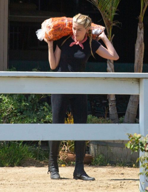 Amber Heard at Horseback Riding in Los Angeles 2020/09/23 10