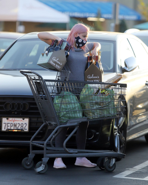 Ariel Winter Out Shopping in Los Angeles 2020/09/25 6