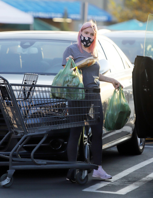 Ariel Winter Out Shopping in Los Angeles 2020/09/25 8