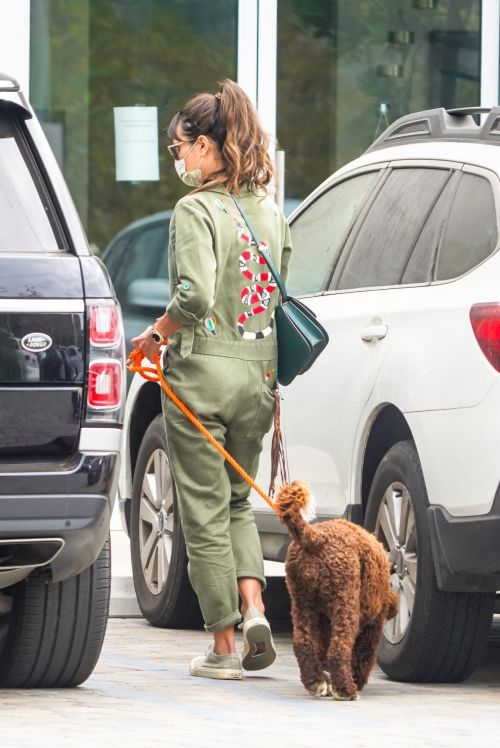 Jordana Brewster Out with Her Dog in Malibu 2020/10/25 9
