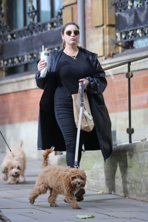 Kelly Brook Out with Her Dog in Hampstead 2020/10/22 9