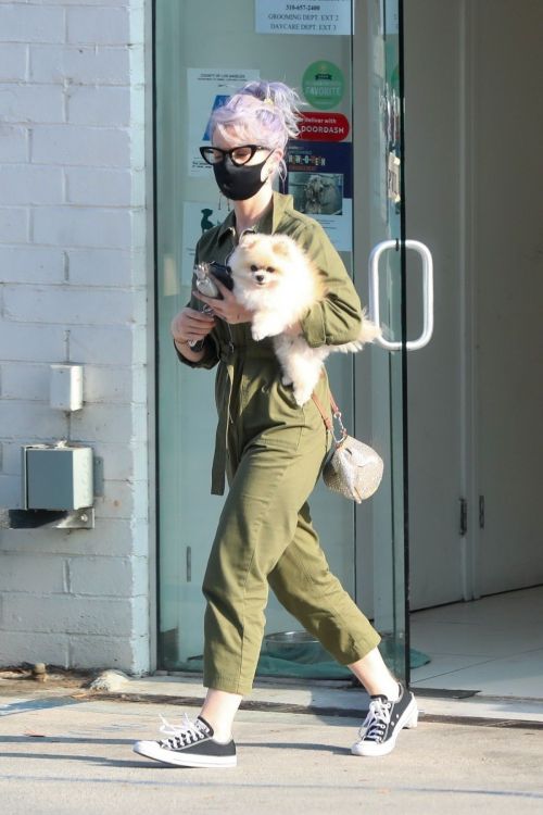 Kelly Osbourne Picks Up her Dog from Groomer in Los Angeles 2020/10/22 1