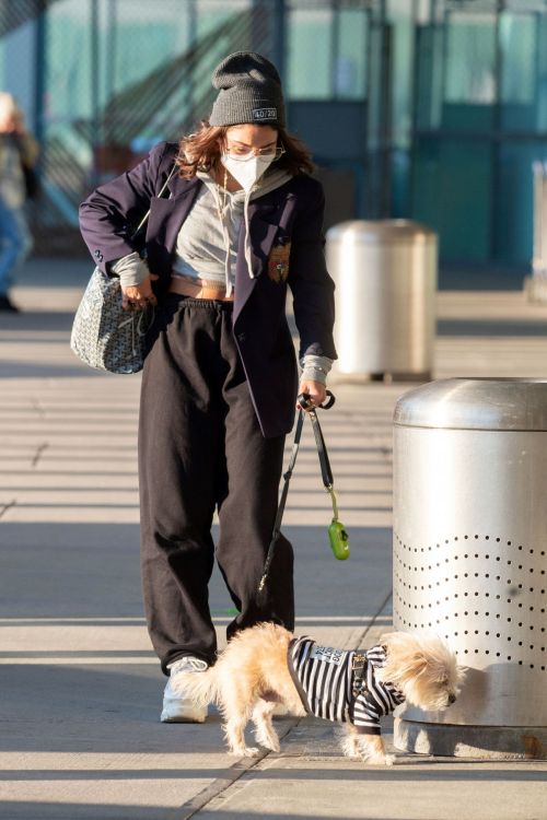 Vanessa Hudgens with Her Dog at JFK Airport in New York 2020/11/16 1