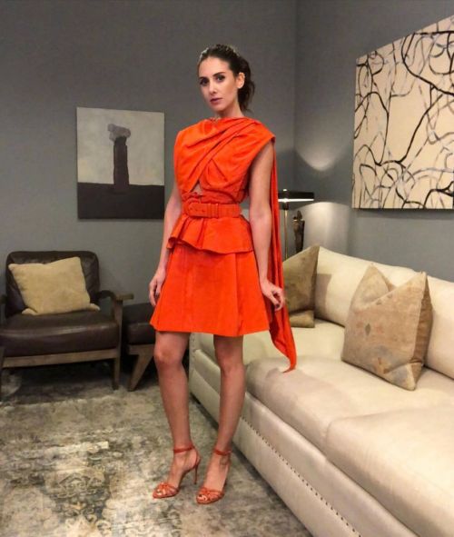 Alison Brie in Dark Orange Outfit - Instagram Photos 12/01/2020 1