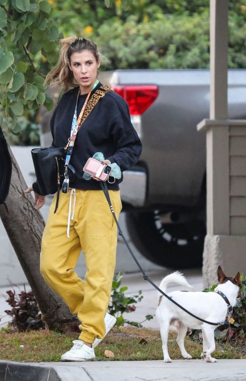 Elisabetta Canalis walks with Her Dog in Los Angeles 12/02/2020 4