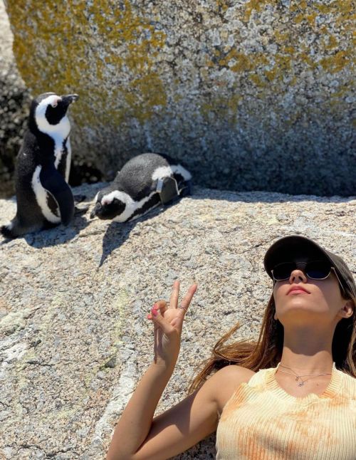 Victoria Justice Penguin Boulders Beach in South Africa 12/05/2020 4