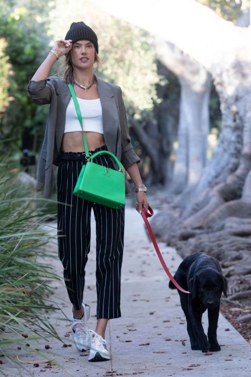 Alessandra Ambrosio Day Out with Her Dog in Santa Monica 03/24/2021 3