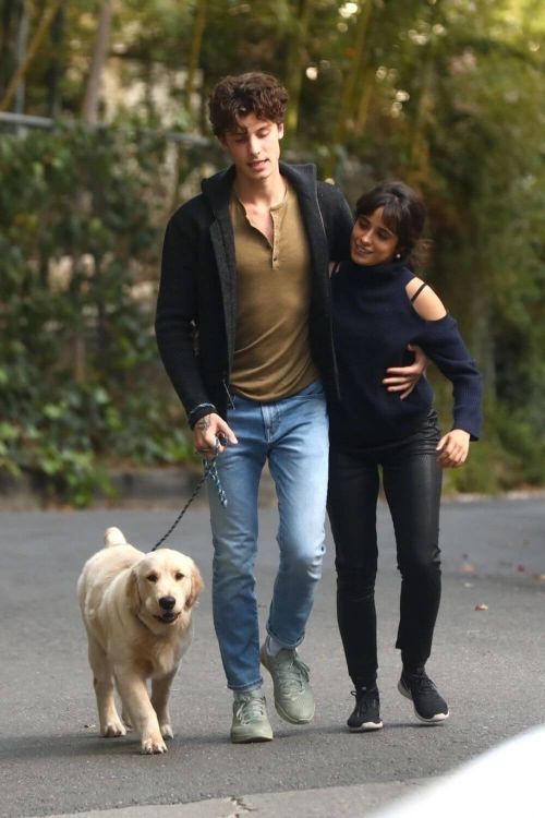 Camila Cabello and Shawn Mendes Hiking with Their Dog in Los Angeles 03/21/2021 2