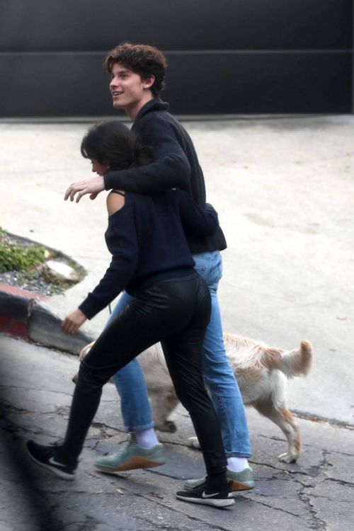 Camila Cabello and Shawn Mendes Hiking with Their Dog in Los Angeles 03/21/2021 3