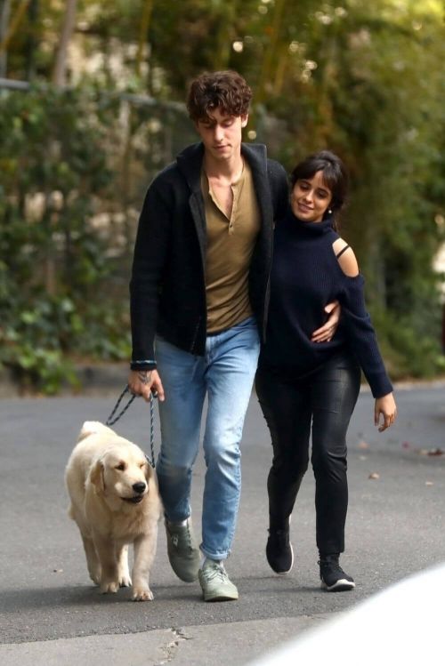 Camila Cabello and Shawn Mendes Hiking with Their Dog in Los Angeles 03/21/2021 4