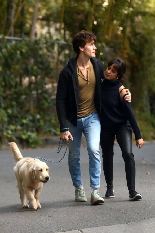 Camila Cabello and Shawn Mendes Hiking with Their Dog in Los Angeles 03/21/2021 5