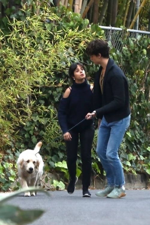 Camila Cabello and Shawn Mendes Hiking with Their Dog in Los Angeles 03/21/2021 6