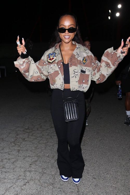 Karrueche Tran night out at Space Jam Party in the Park in Valencia 06/30/2021 6