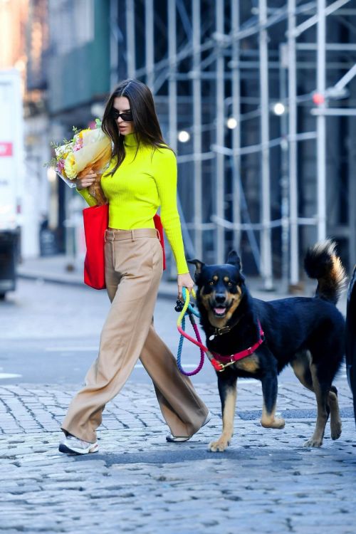 Emily Ratajkowski Out with Her Dog Shopping for Fresh Flowers in New York City 11/18/2021 4