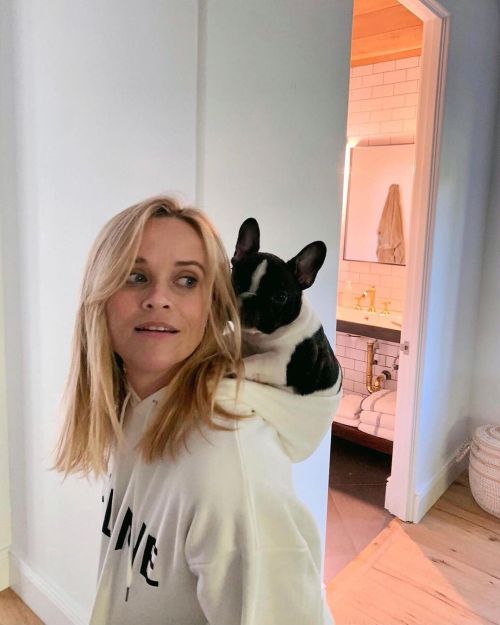 Reese Witherspoon Shares National Love your Pet Day snaps on her Instagram, Feb 2023 1