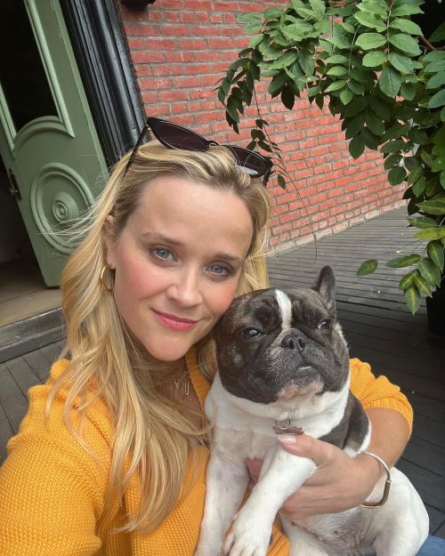 Reese Witherspoon Shares National Love your Pet Day snaps on her Instagram, Feb 2023 4