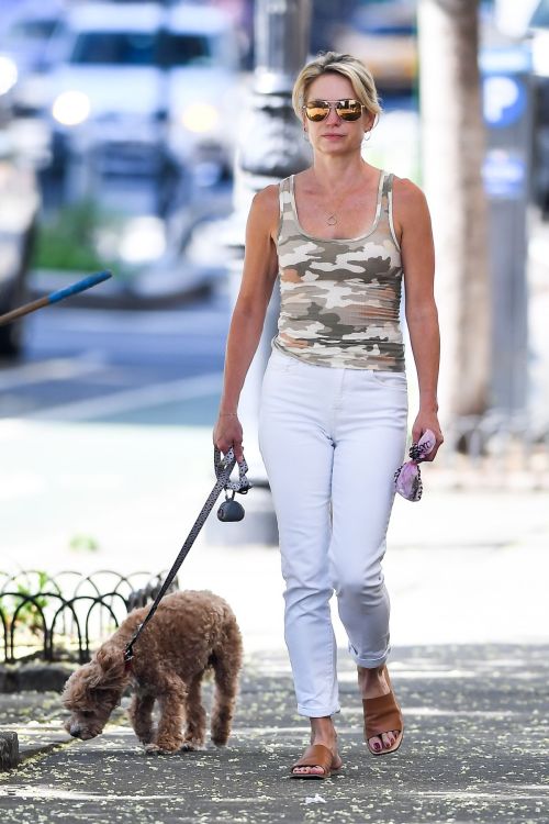 Amy Robach Out with Her Dog in New York 2