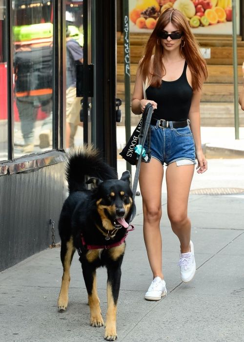 Emily Ratajkowski Rocks Daisy Dukes Outing with Friends and Her Dog in New York 2