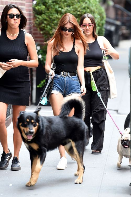 Emily Ratajkowski Rocks Daisy Dukes Outing with Friends and Her Dog in New York 5