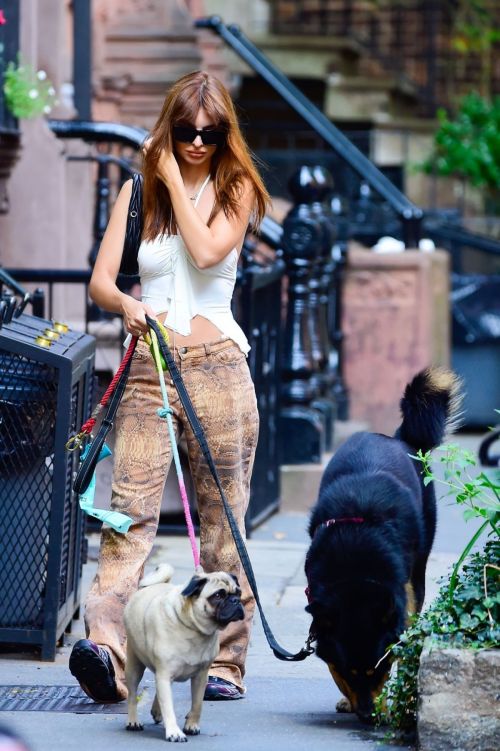 Emily Ratajkowski Out Walking Her Dog in New York 4