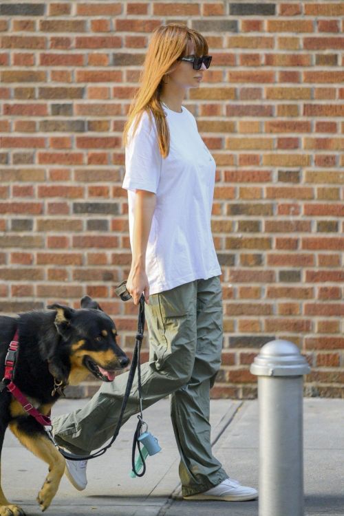 Emily Ratajkowski walks her dog out in New York 4