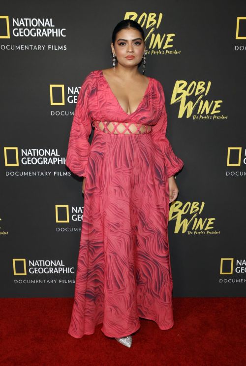 Rini Jain at Bobi Wine: The People President Documentary Premiere in Los Angeles 3