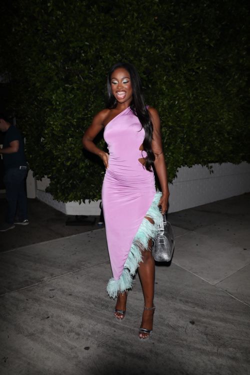 Coco Jones Shines in a One Shoulder Light Purple Dress at Dwyane Wade Hall of Fame Induction Party 4