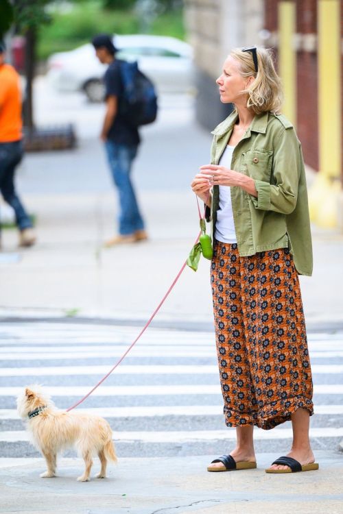 Naomi Watts Out and About with Her Dog in New York 09/08/2023 1