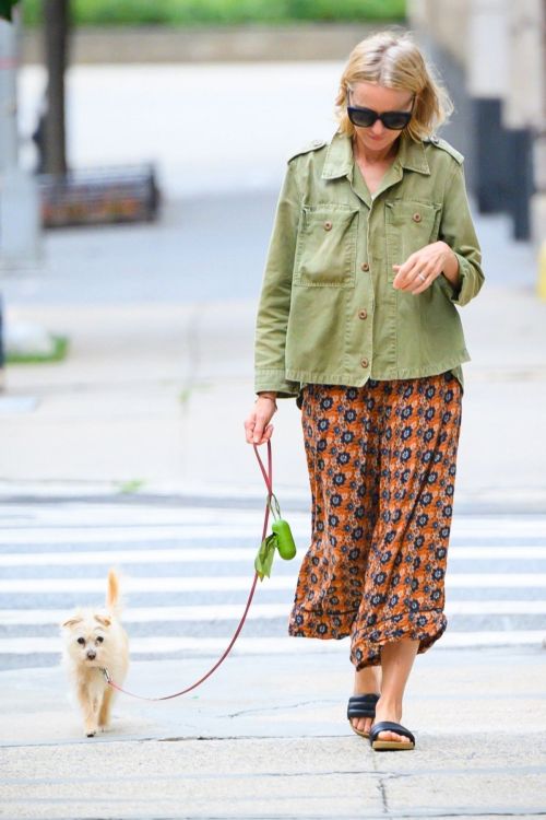 Naomi Watts Out and About with Her Dog in New York 09/08/2023 2