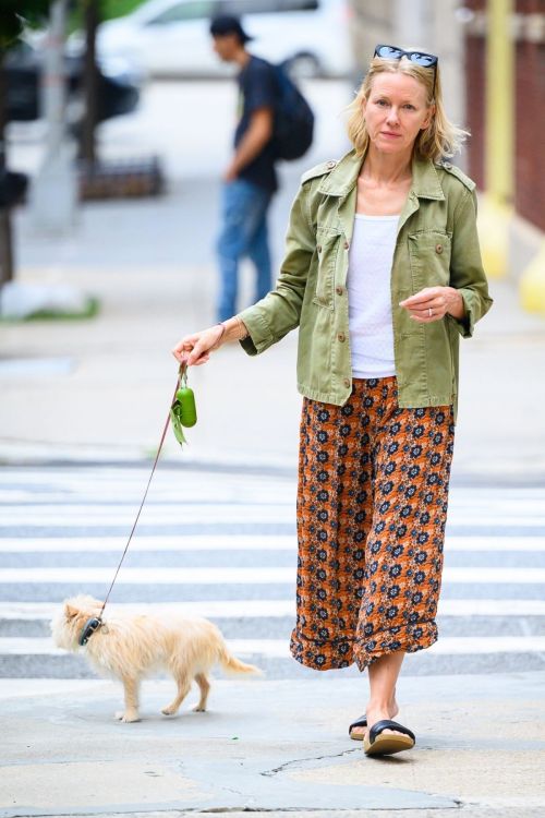 Naomi Watts Out and About with Her Dog in New York 09/08/2023 3