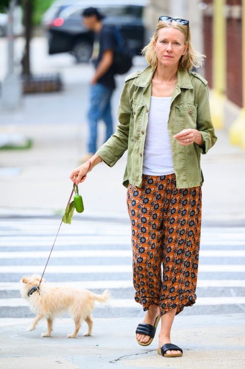 Naomi Watts Out and About with Her Dog in New York 09/08/2023 4