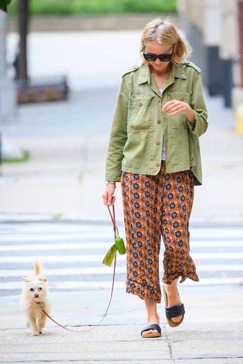 Naomi Watts Out and About with Her Dog in New York 09/08/2023 5