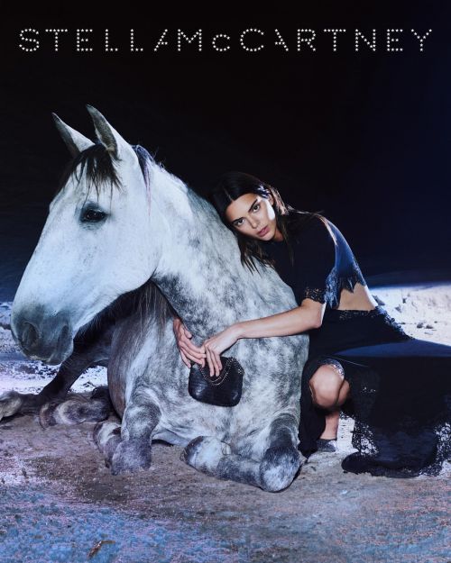 Kendall Jenner Stella McCartney Photoshoot by Harley Weir 3