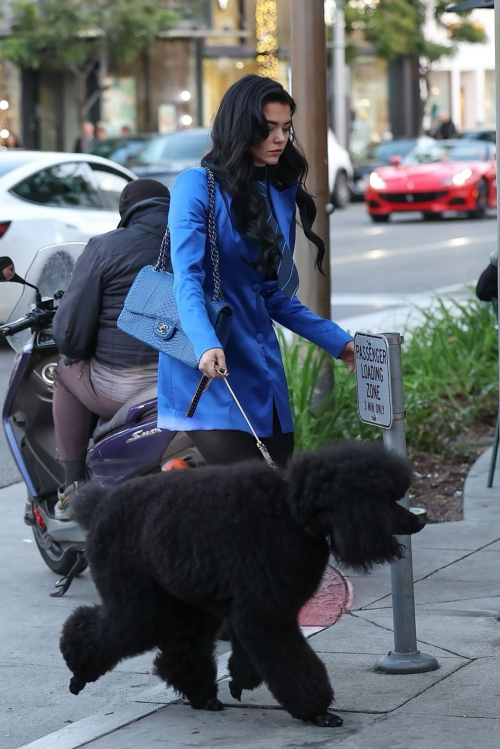 Alexandria Wolfe Out with Her Dog in Beverly Hills 3