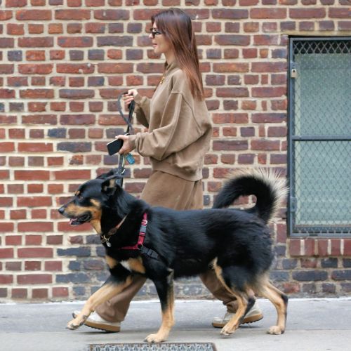 Emily Ratajkowski in chic brown sweats NYC street style 2