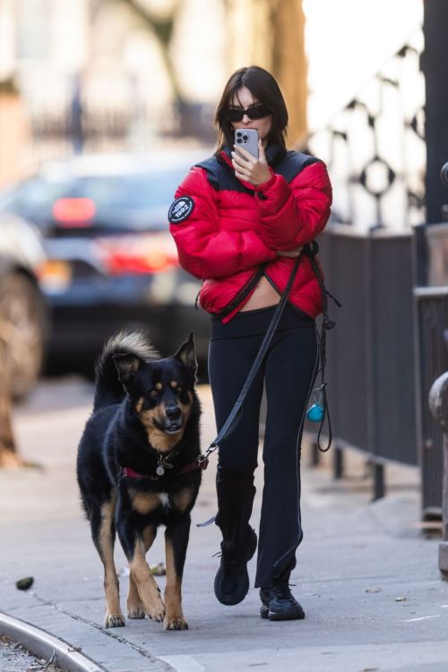 Emily Ratajkowski in Red Puffer & Black Pants While Walking Her Dog 1