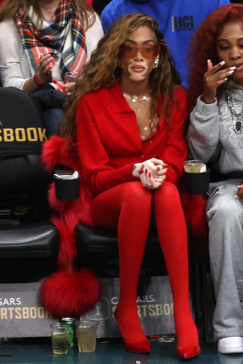 Winnie Harlow at Washington Wizards Game in Washington D.C., December 2023