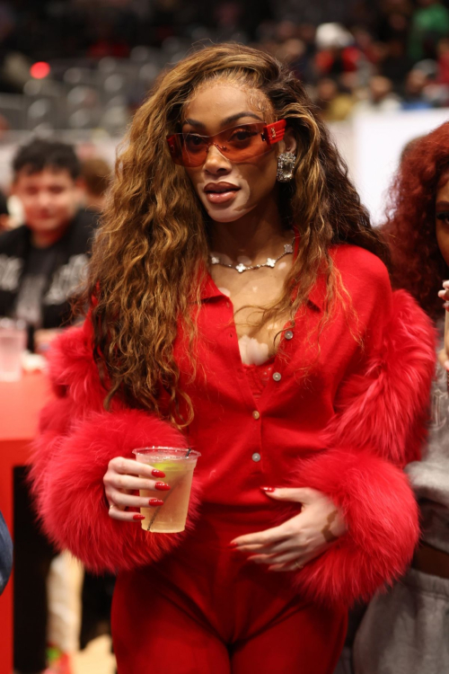 Winnie Harlow at Washington Wizards Game in Washington D.C., December 2023 9