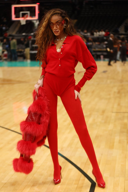 Winnie Harlow at Washington Wizards Game in Washington D.C., December 2023 2