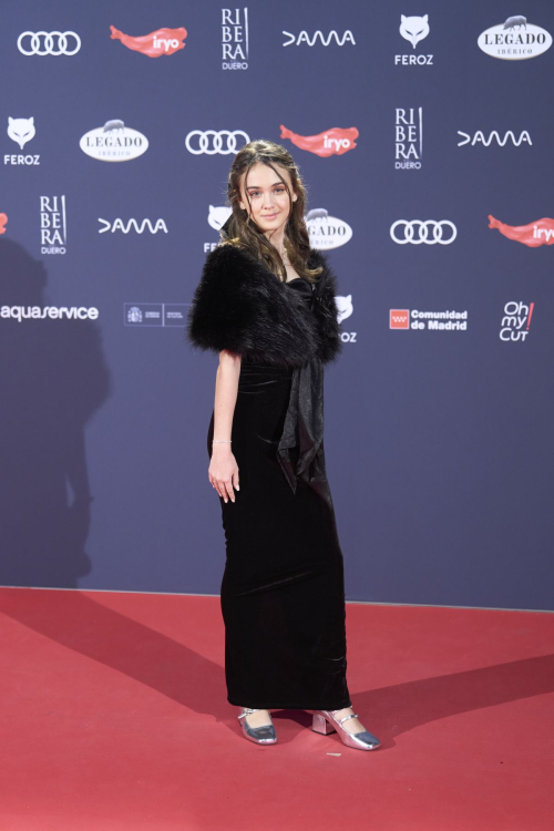 Ana Guijarro at 11th Annual Feroz Awards Photocall, January 2024 2