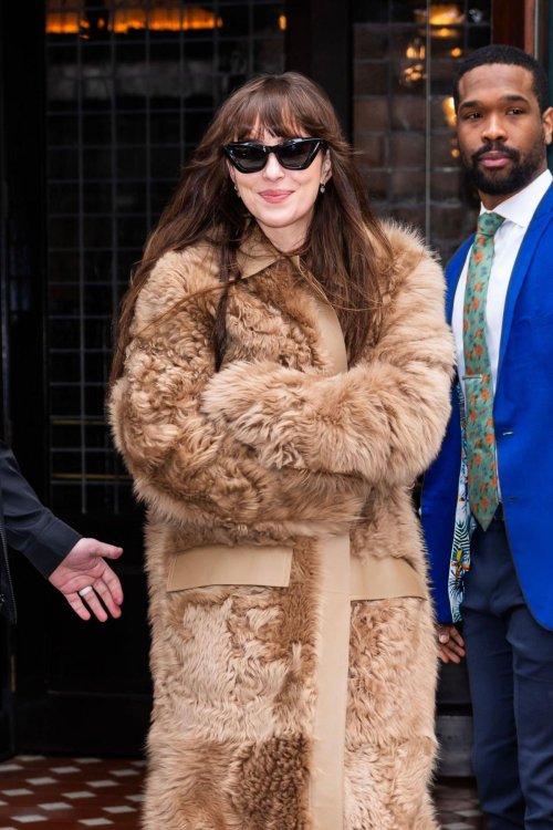 Dakota Johnson Leaves Hotel in New York, January 2024 5