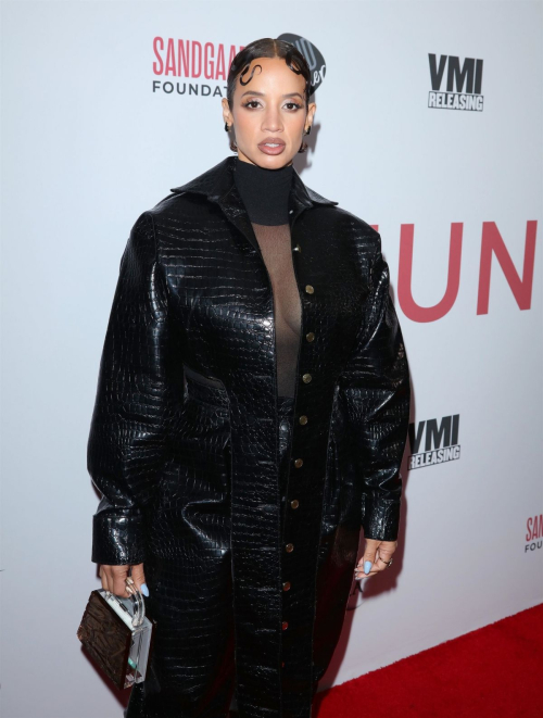 Dascha Polanco at Junction Premiere in Hollywood, January 2024 3