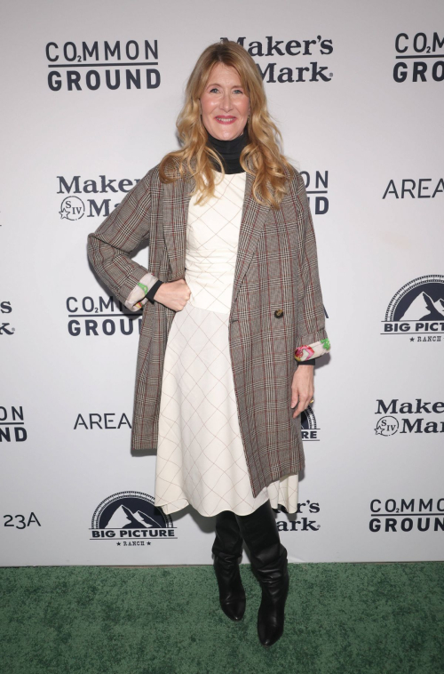 Laura Dern at Common Ground Special Screening in Los Angeles, January 2024 2