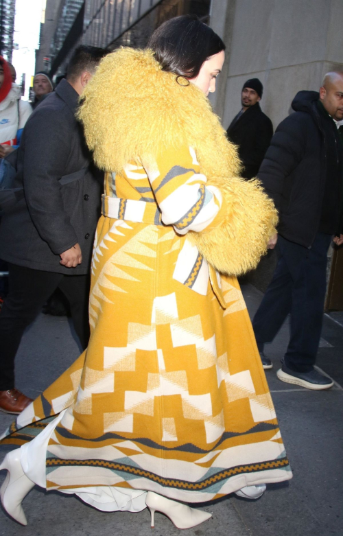 Lily Gladstone Arrives at Today Show in New York, January 2024 5