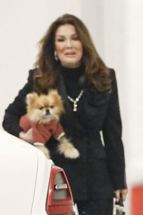 Lisa Vanderpump and Ken Todd Leave E Baldi in Beverly Hills, January 2024 4