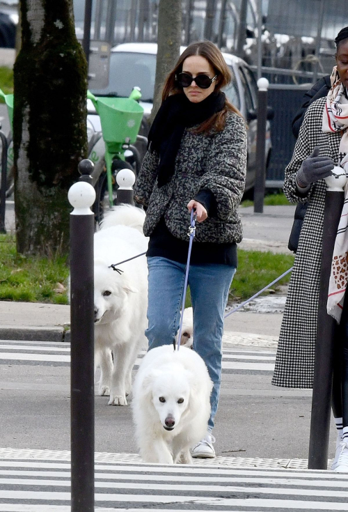 Natalie Portman Out with Her Dogs on Champ-de-Mars Gardens in Paris, January 2024 3